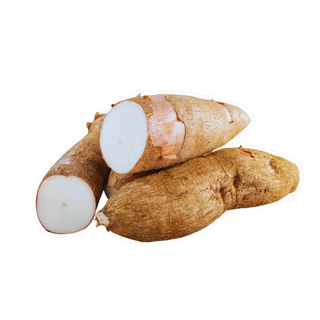 Cassava from Ecuador - Natural Energy from the Root